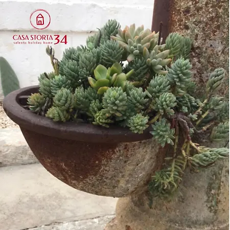 Casa Storta 34 * Lecce